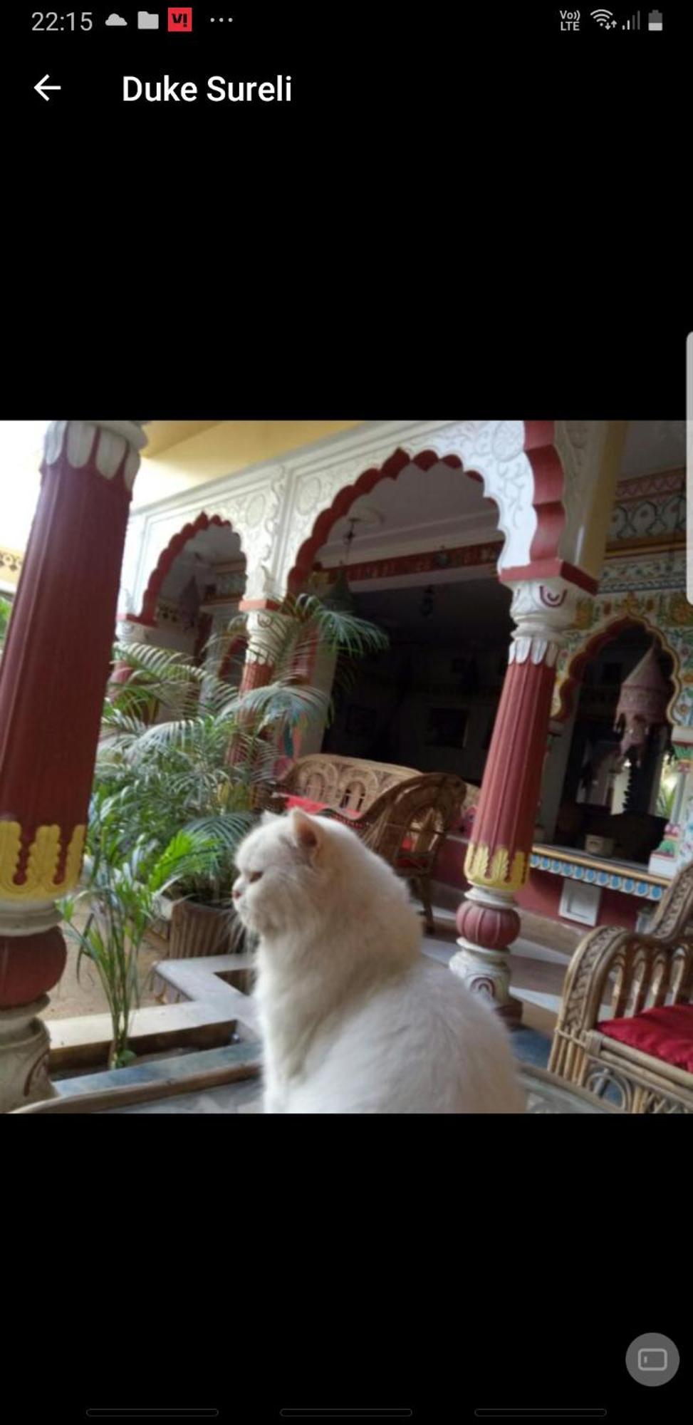 Sureli Haveli Apartment Jaipur Room photo